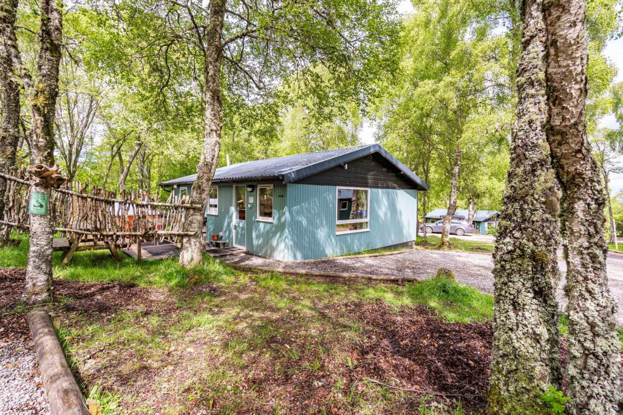 Belladrum Heather Lodge 10 With Hot Tub מראה חיצוני תמונה